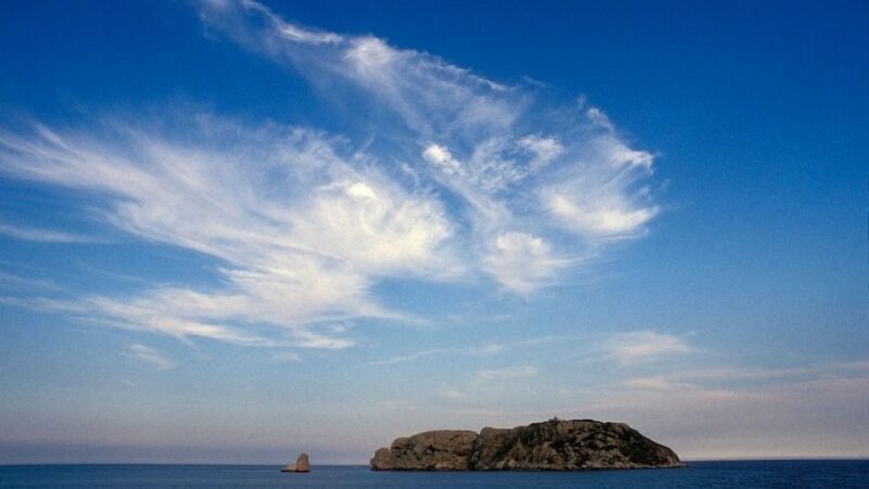 From Roses: Medes Islands Boat Tour with El Estartit Visit - FAQ