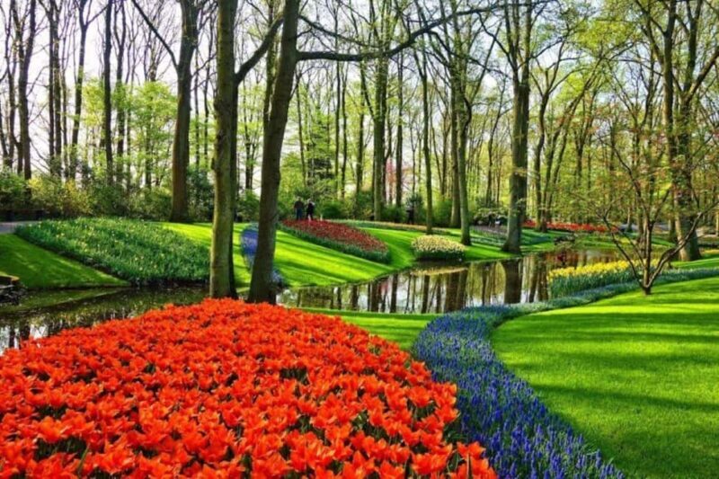 From Rotterdam: Private Keukenhof & Windmills Tour - Exploring the Dutch Highlights in Depth