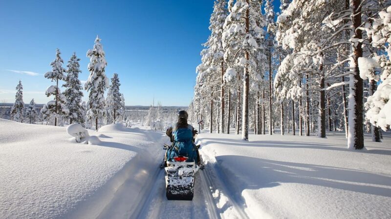 From Rovaniemi: 2-Hour Snowmobile Safari - The Experience in Detail