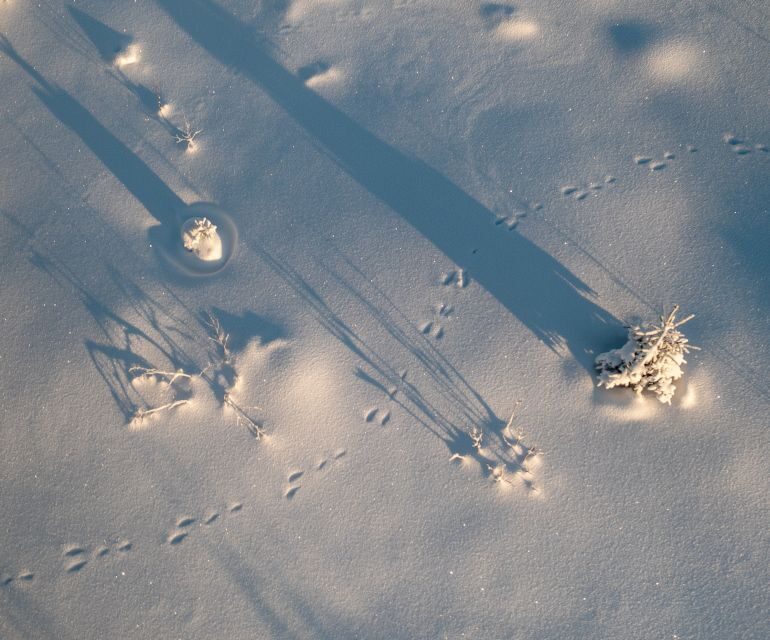 From Rovaniemi: Amethyst Mine Guided Tour - FAQ