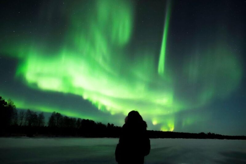 From Rovaniemi: Aurora Borealis Trip in Lapland Lakeside - What to Expect on Your Rovaniemi Aurora Borealis Trip
