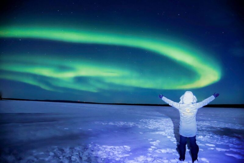 From Rovaniemi: Aurora Borealis Trip in Lapland Lakeside - What Makes This Tour Stand Out?