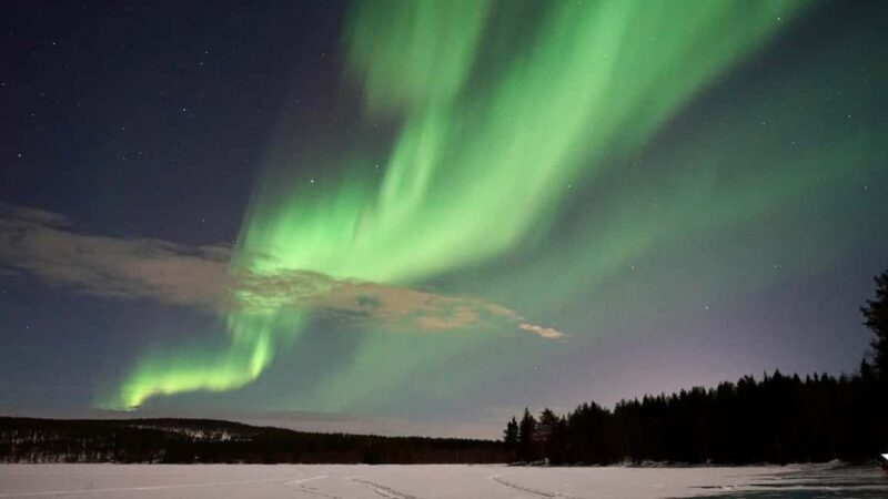 From Rovaniemi: Family-Friendly Northern Lights Tour - Who Should Consider This Tour?