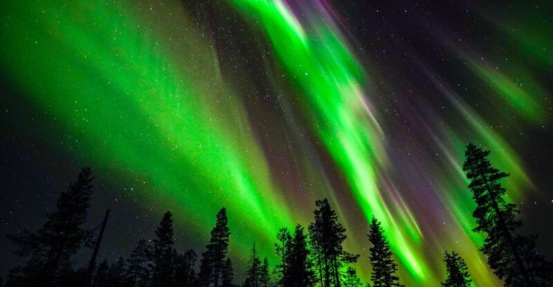 From Rovaniemi: Family-Friendly Northern Lights Tour - Who Would Enjoy This Tour?