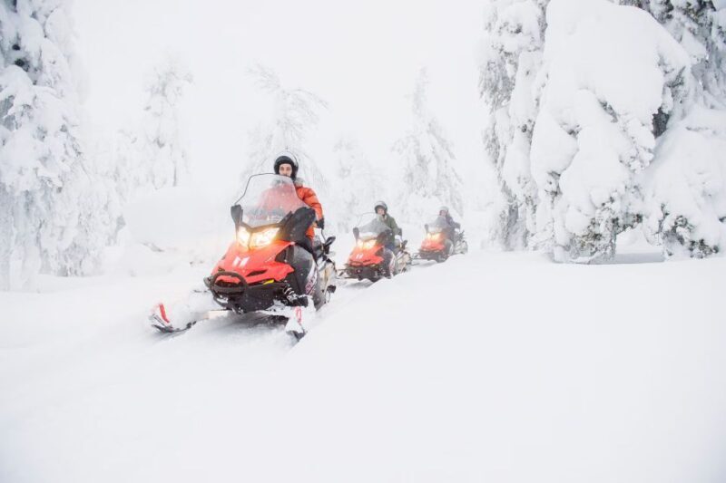 From Rovaniemi: Guided Lapland Snowmobile Adventure - What You Can Expect on This Snowmobile Adventure
