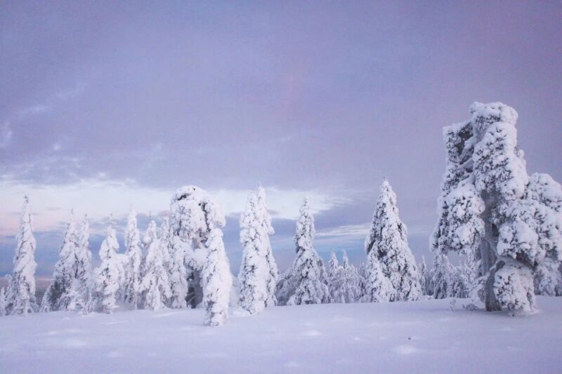 From Rovaniemi: Guided Lapland Snowmobile Adventure - FAQs
