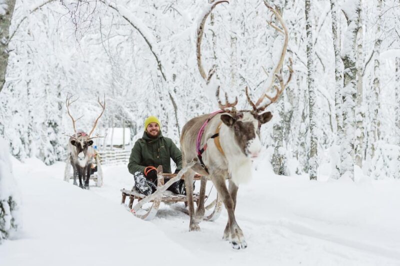 From Rovaniemi: Husky and Reindeer farm with sled ride - What to Expect from the Tour
