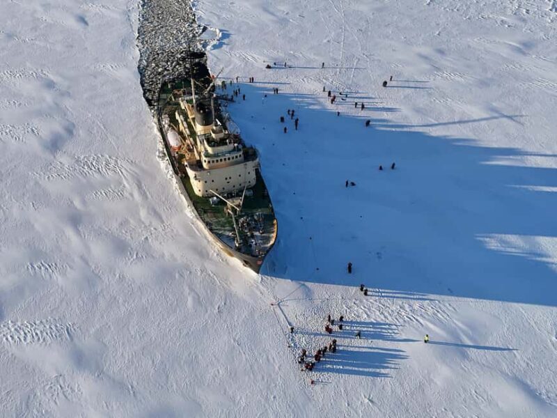 From Rovaniemi: Icebreaker Sampo Cruise with Ice Floating - Who Would Love This?