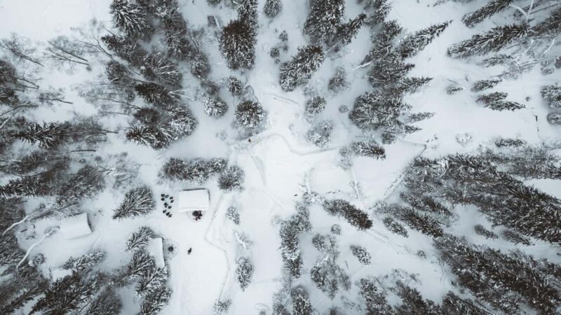 From Rovaniemi: Korouoma & Auttiköngäs Frozen Waterfalls - Key Points