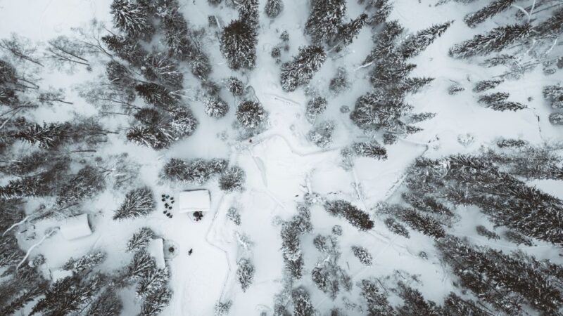 From Rovaniemi: Korouoma Canyon and Frozen Waterfalls Tour - What Is the Korouoma Canyon and Why Visit?