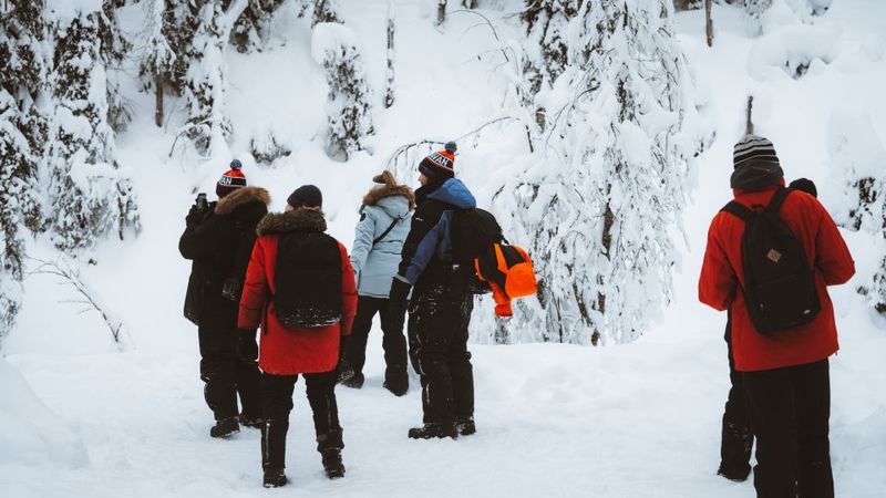 From Rovaniemi: Korouoma Canyon and Frozen Waterfalls Tour - Food and value: is $136 worth it?