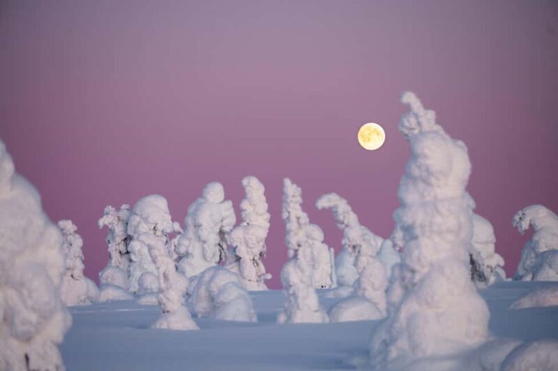 From Rovaniemi/Kuusamo: 2-Day Lapland Escape with Korouoma - A Closer Look at the 2-Day Lapland Escape