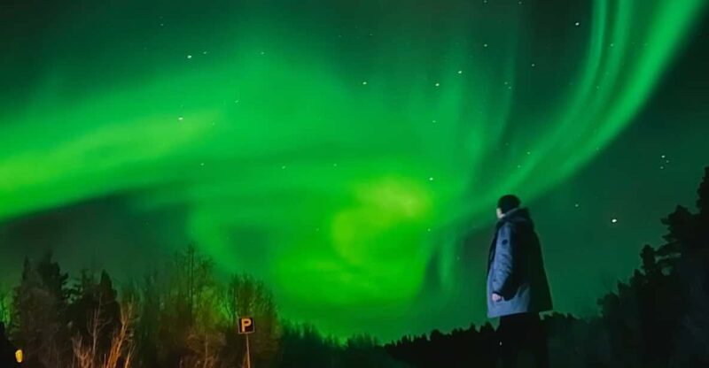 From Rovaniemi: Lapland Aurora Hunt with Barbeque - The Itinerary in Detail