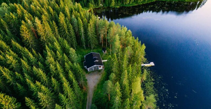 From Rovaniemi: Midnight Sun Forest Lake Float - A Look at the Experience