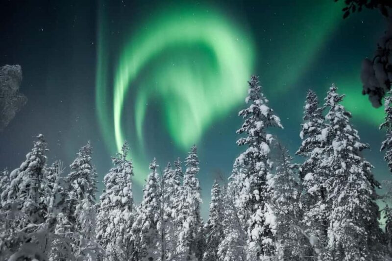 From Rovaniemi: Northern Lights Tour by Van - What to Expect from the Tour
