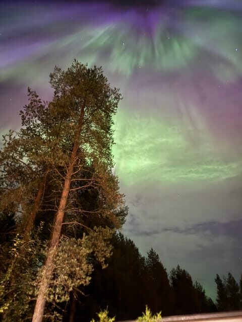 From Rovaniemi: Northern Lights Tour with Campfire Snacks - From Rovaniemi: Northern Lights Tour with Campfire Snacks — A Real Look