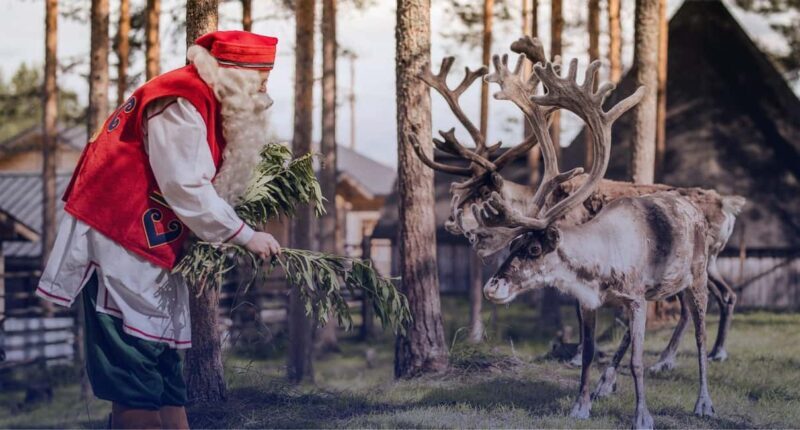 From Rovaniemi: Private Tour to Santa Claus Village - The Practical Side: What You Need to Know