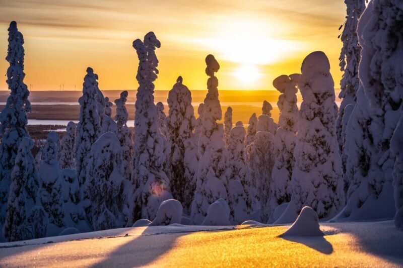 From Rovaniemi: Riisitunturi Full-Day Wilderness Adventure - Is This Tour for You?