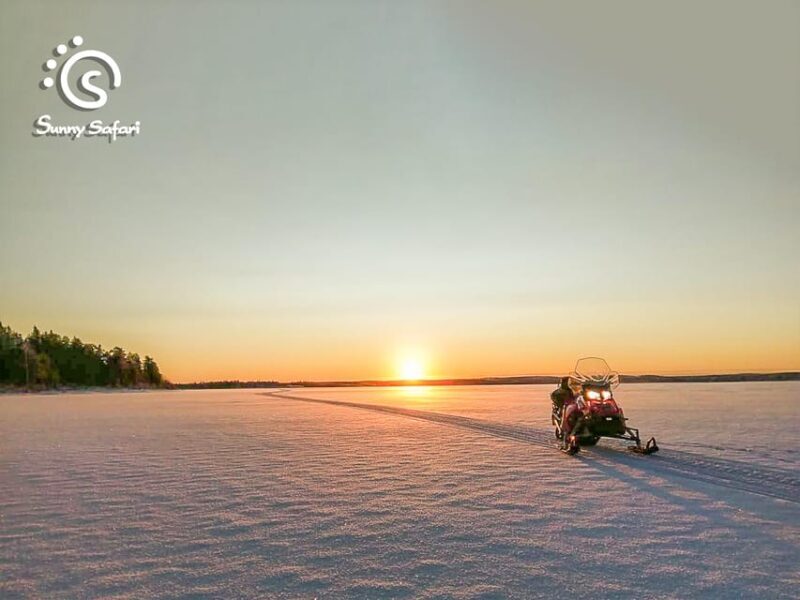 From Rovaniemi: Snowmobile Safari into Arctic Wilderness - Key Points