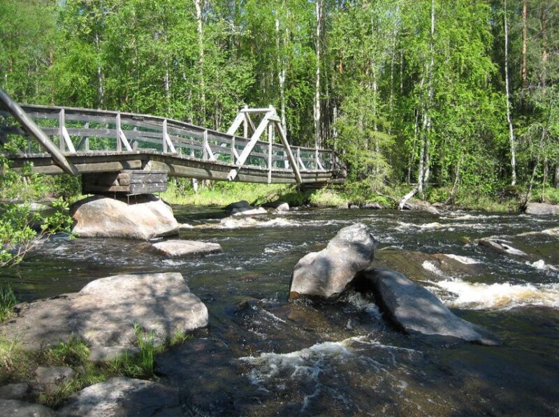 From Rovaniemi: Vikaköngäs Forest Hiking Tour - Final thoughts