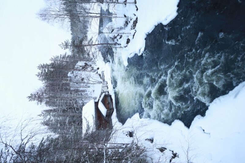 From Ruka: Snowshoeing in Oulanka National Park - What the Tour Looks Like