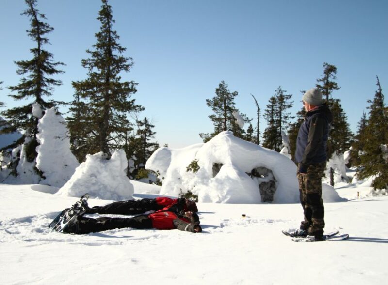 From Ruka: Snowshoeing in Riisitunturi National park - What to Expect from the Snowshoeing Experience