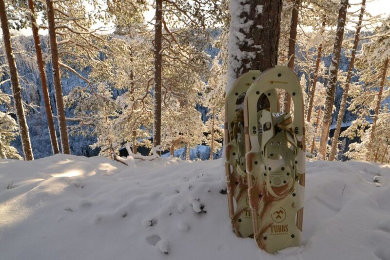 From Ruka: Snowshoeing in Riisitunturi National park - Whats Included and How It Adds Value
