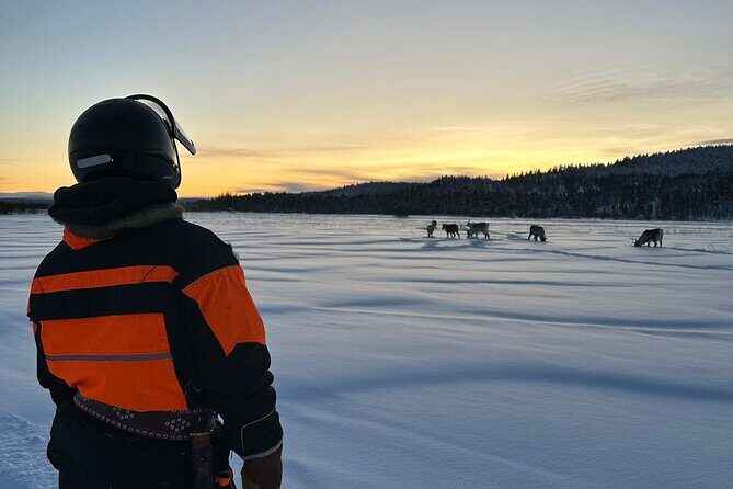 From Saariselkä: Ice Fishing Tour to Lake Inari, reindeers &lunch - Final Thoughts