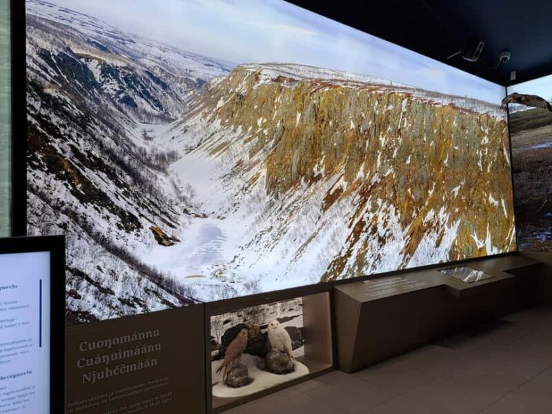 From Saariselka: Trip to Inari, Janiskoski and Siida Museum - Who Should Consider This Tour?