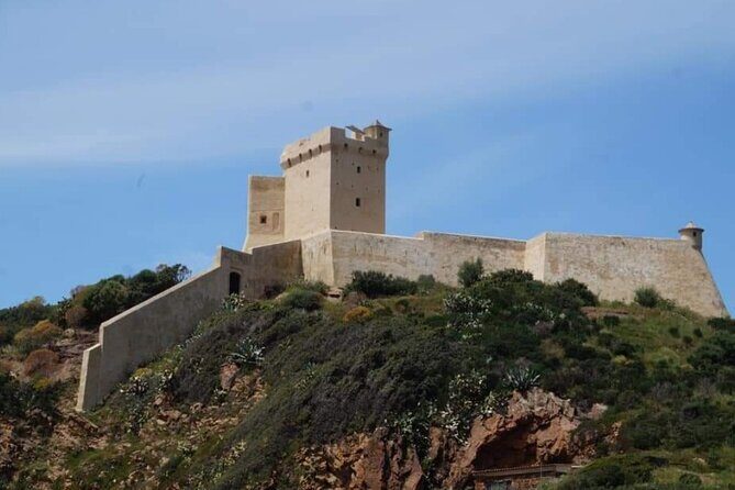 From Sagone/Cargèse: Scandola Calanques Piana Girolata Swimming - Who Should Consider This Tour?