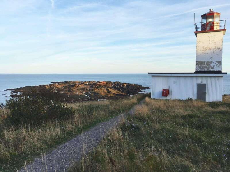 From Saint John: Bay of Fundy Bus Trip for Cruise Passengers - FAQs