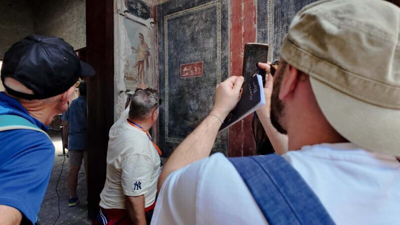 From Salerno: Pompeii Guided Walking Tour with Ticket - Key Points
