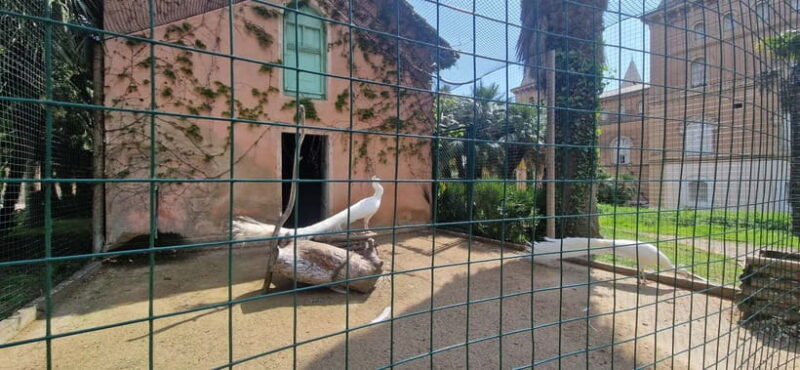 From Salou: Park Samá with 1 vermouth tasting, hotel Pickup - Who Should Consider This Tour?