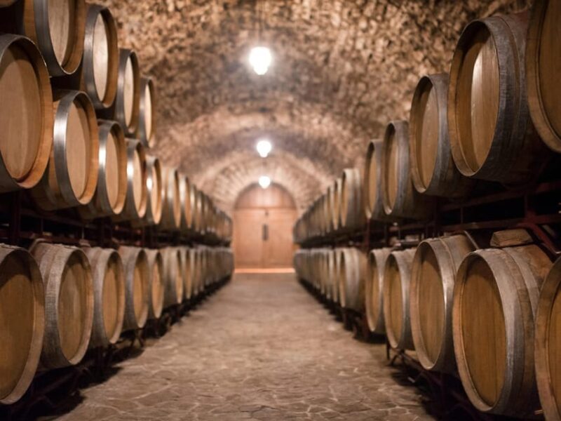 From Salou: Priorat olive trees and wine tour - From Salou: Priorat Olive Trees and Wine Tour – A Practical Look