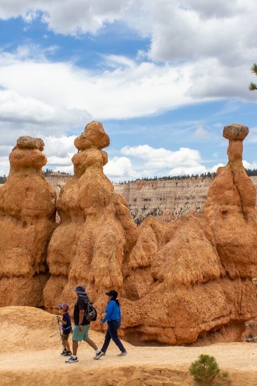 From Salt Lake City: Private Bryce Canyon National Park Tour - Flexibility and Booking