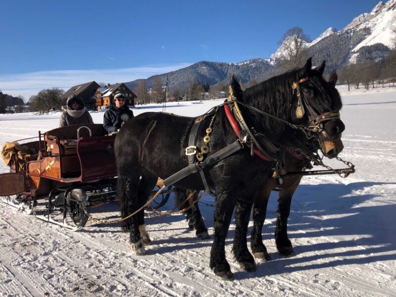 From Salzburg: 8 hour Horse-Drawn incl. 2-hour Carriage Ride - Key Points