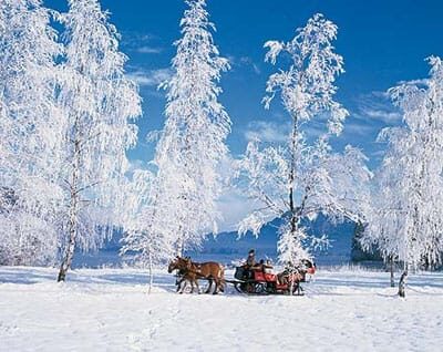 From Salzburg: 8 hour Horse-Drawn incl. 2-hour Carriage Ride - Who is this tour best for?