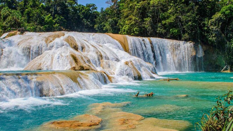 From San Cristóbal: Agua Azul and Palenque Day Trip - The Cost and Value