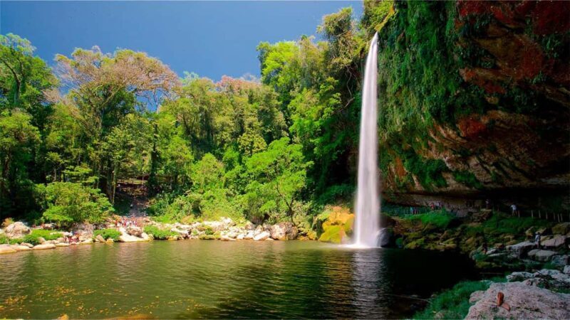 From San Cristóbal: Agua Azul and Palenque Day Trip - Who Is This Tour Best For?