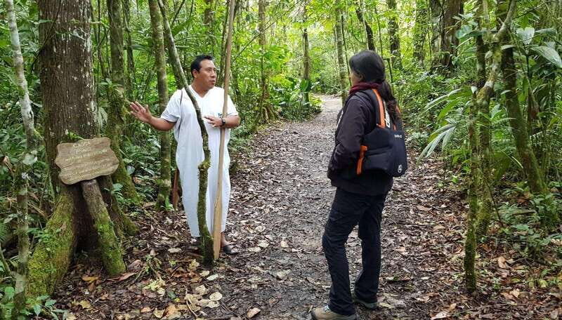 From San Cristóbal: Lacandona Jungle 3 Days Tour - The Itinerary in Detail