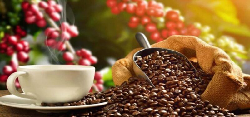 From San Cristóbal: Walking City tour - A Friendly Introduction to San Cristóbal