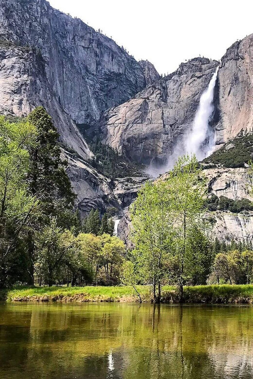 From San Francisco: Alcatraz Day and Yosemite Day Tour - What to Expect from the Tour