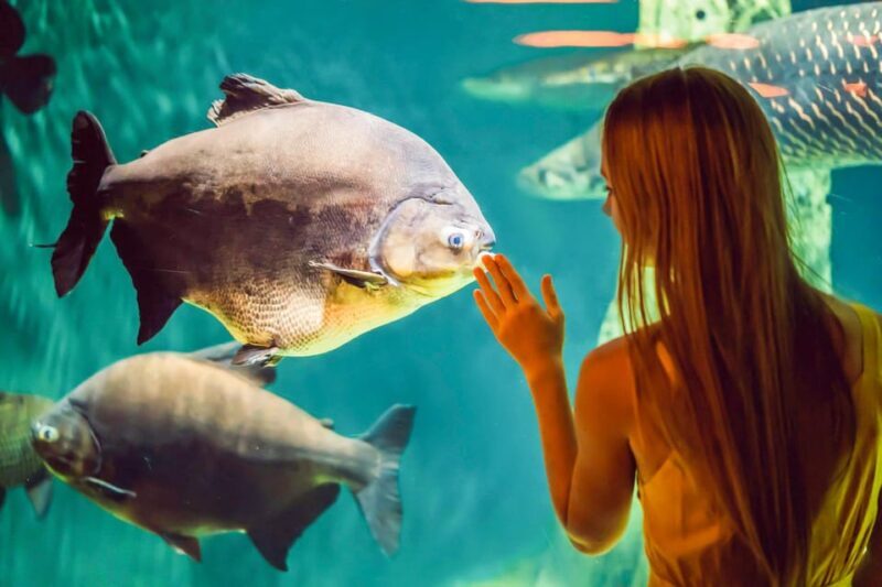 From San Francisco: Alcatraz Night Tour, Muir Woods and Wine - The Value of the Experience