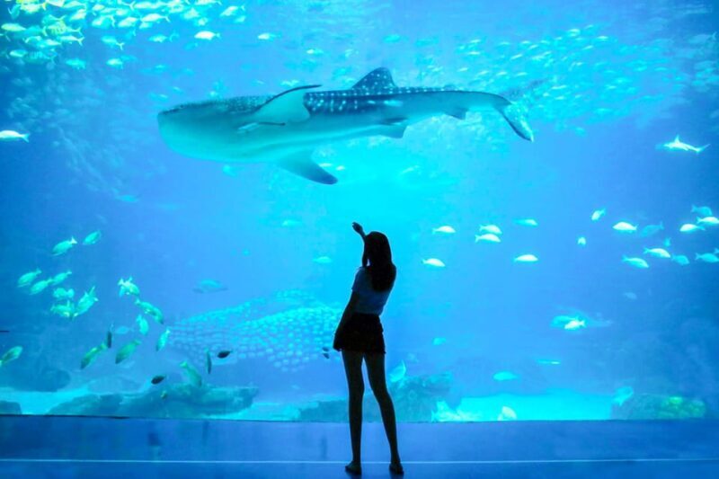 From San Francisco: Alcatraz Night Tour, Muir Woods and Wine - Realistic Expectations and Considerations