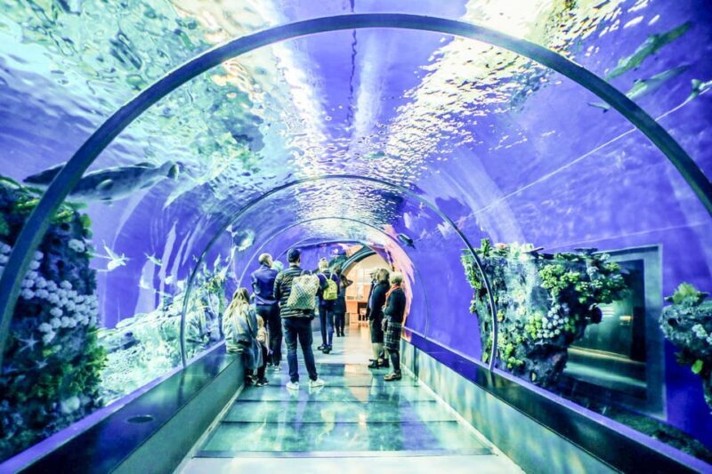 From San Francisco: Alcatraz Night Tour, Muir Woods and Wine - Who This Tour Will Likely Suit