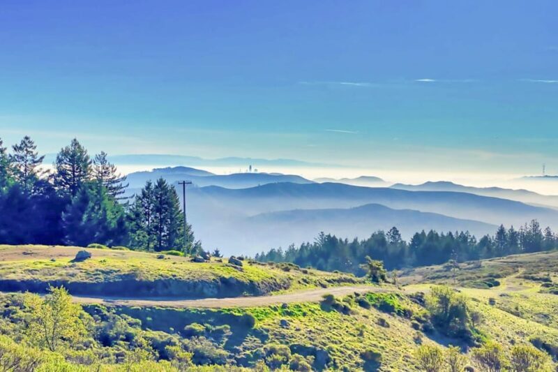 From San Francisco: Alcatraz Night Tour, Muir Woods and Wine - FAQ