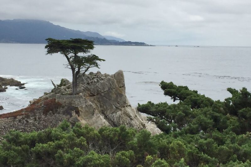 From San Francisco: Carmel, Monterey & Big Sur Private Tour - Final Thoughts