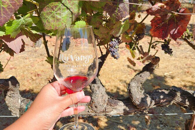 From San Francisco: Half-Day Wine Country Tour with Tastings - Price and Value: Is It Worth It?