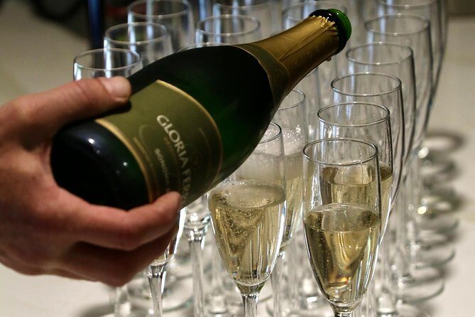 From San Francisco: Half-Day Wine Country Tour with Tastings - Practical Tips for Your Trip