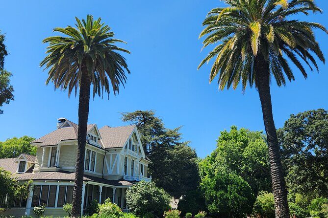 From San Francisco: Half-Day Wine Country Tour with Tastings - Who Is This Tour Best For?